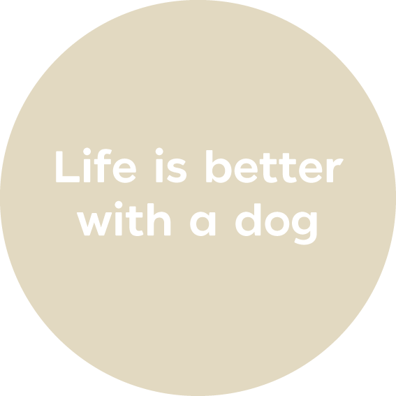 Pet Wall Sticker Eco-Friendly Fabric Decal - A Creative Hart