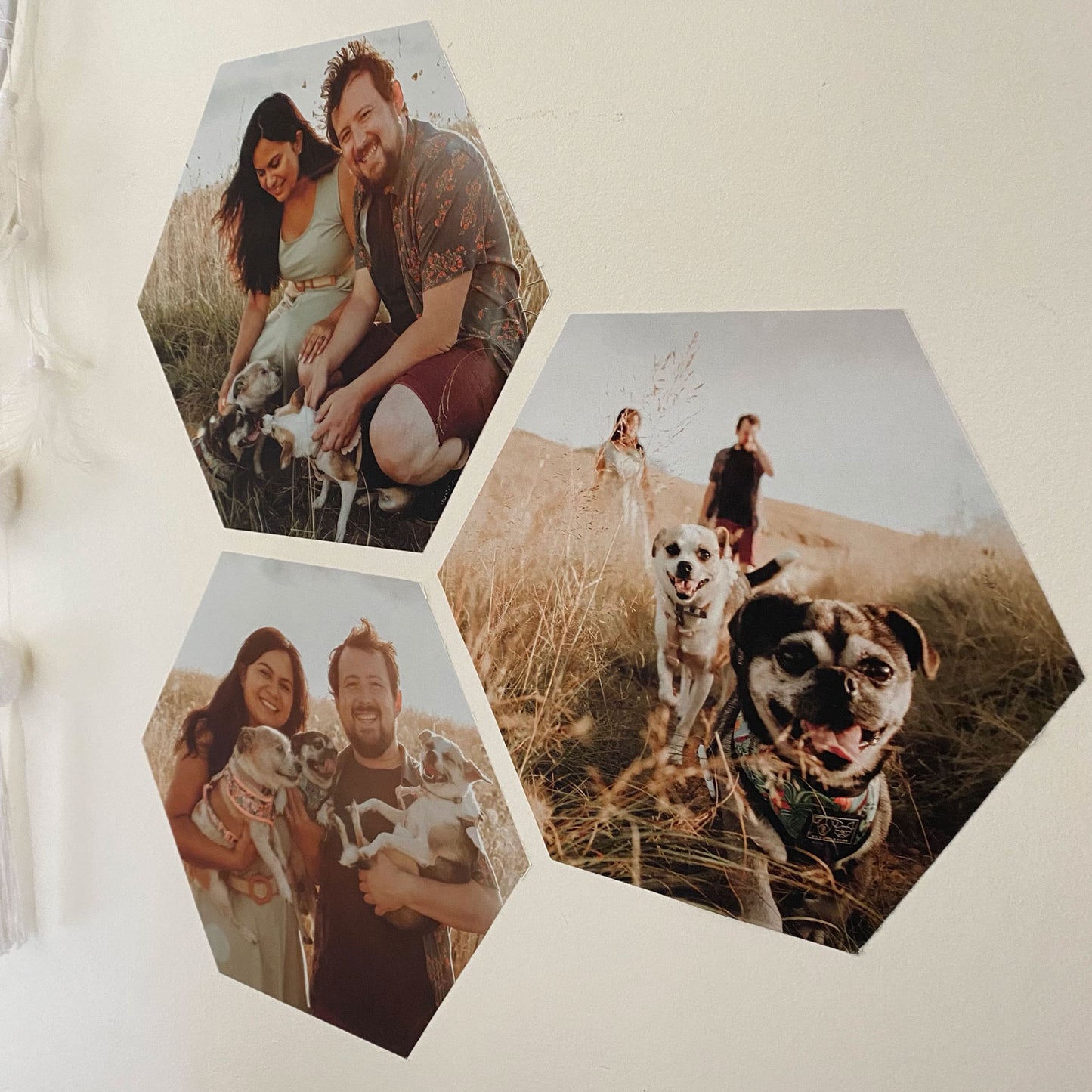 Photo Wall Decals - Hexagonal  15-40cm ( Set of Three or Six ) - A Creative Hart