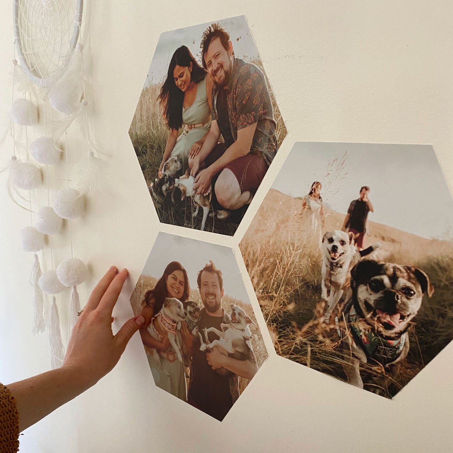 Photo Wall Decals - Hexagonal 15-40cm ( Set of Three or Six ) - A Creative Hart