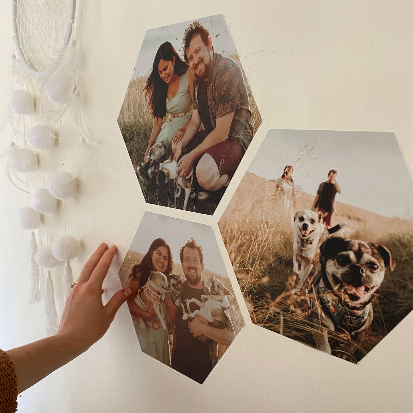 Photo Wall Decals - Hexagonal  15-40cm ( Set of Three or Six ) - A Creative Hart