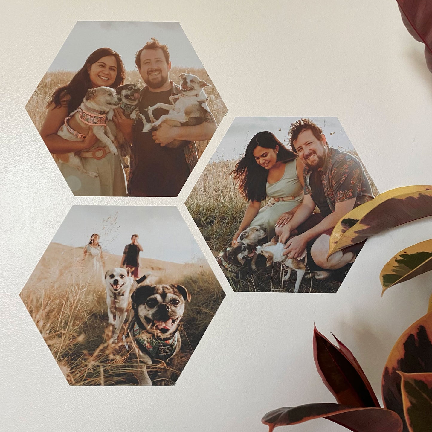 Photo Wall Decals - Hexagonal  15-40cm ( Set of Three or Six ) - A Creative Hart