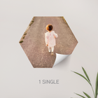 Hexagon Photo Decal