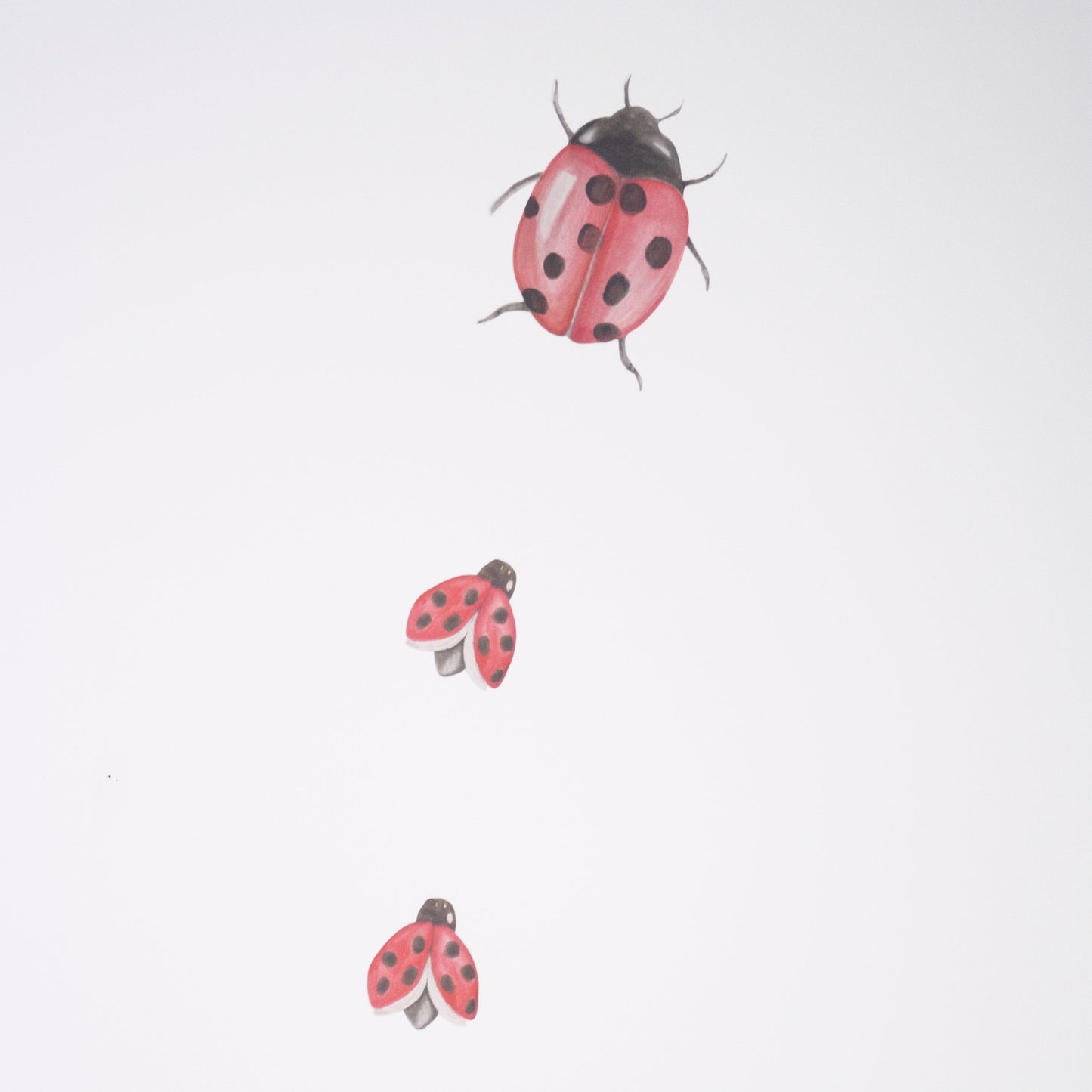 Ladybird Fabric Wall Decals - A Creative Hart