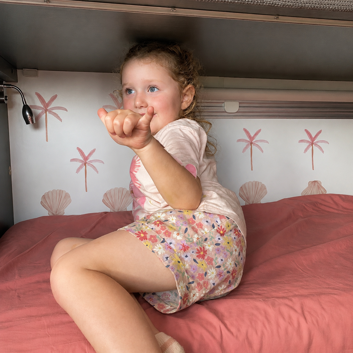 Pink Palm Trees and Scallop Shell Set - Caravan Bunk Decals