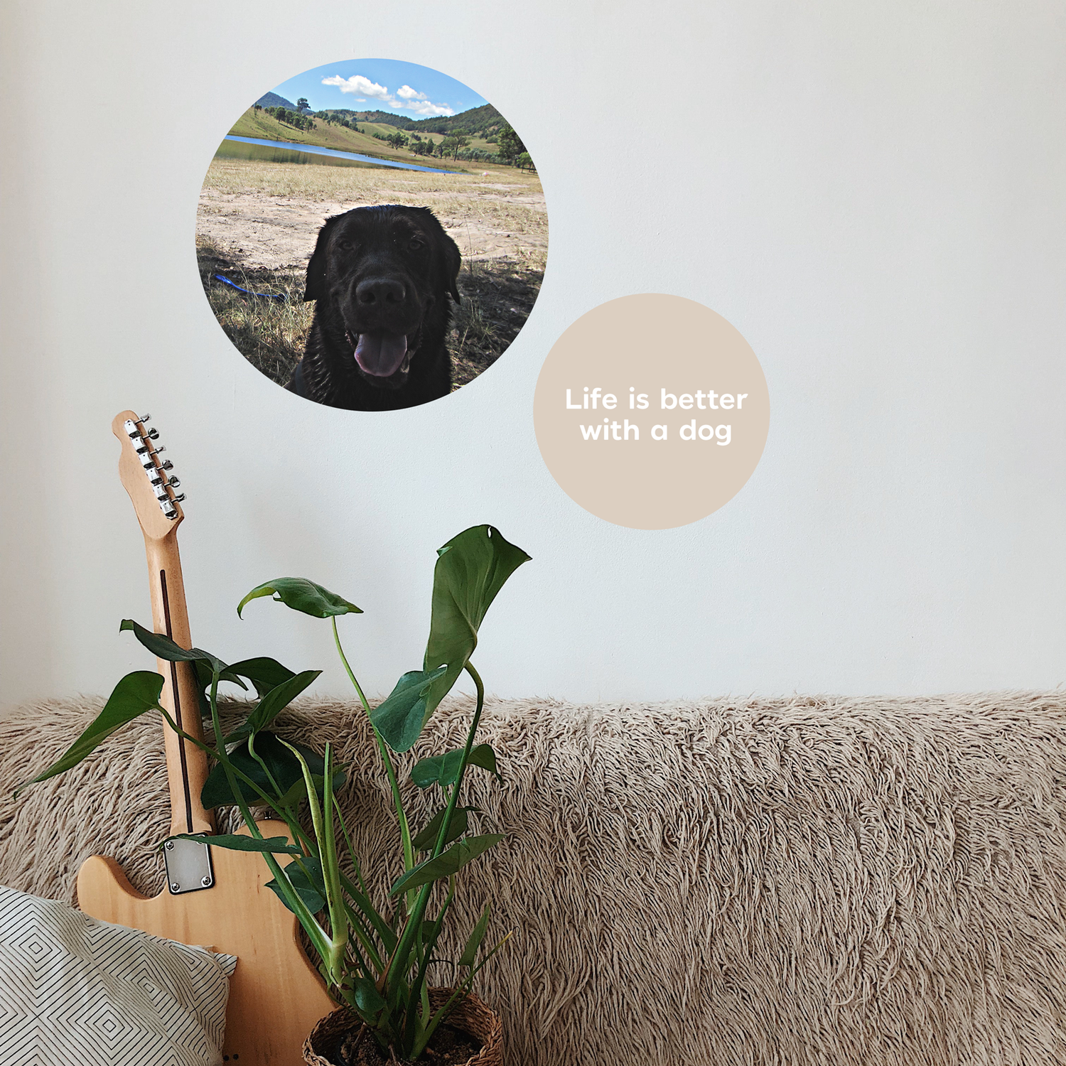 Pet Wall Sticker Eco-Friendly Fabric Decal - A Creative Hart